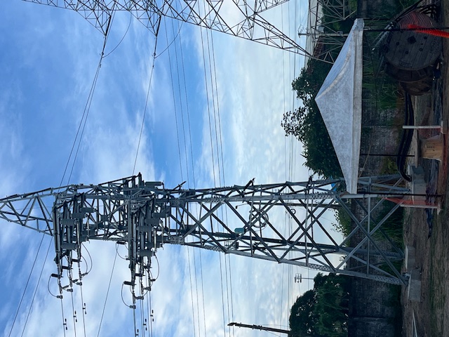 Parque Fotovoltaico Bosques Solares de Bolívar foto 9